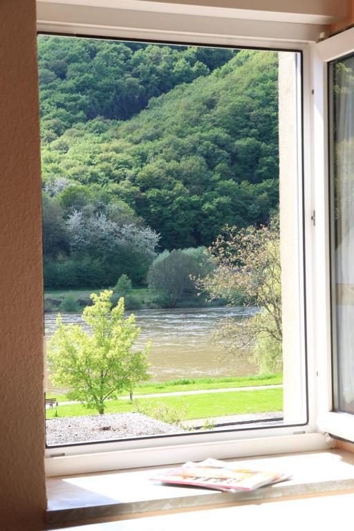 Ferienweingut Serwaziwein 메세니흐 객실 사진